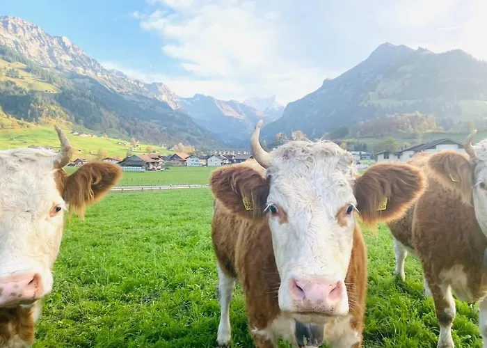 דירה Heaven Retreat קנדרסטג