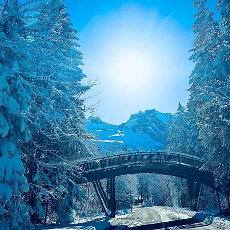 Heaven Retreat 公寓 *